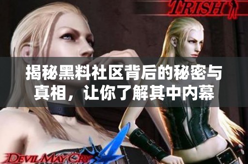 揭秘黑料社区背后的秘密与真相，让你了解其中内幕