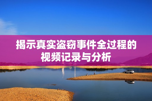 揭示真实盗窃事件全过程的视频记录与分析